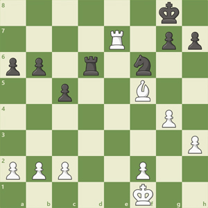 6k1/4R1pp/pp1r1n2/2p2B2/6P1/7P/PPP2P2/5K2 w - - 1 29