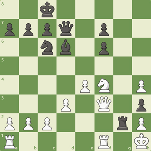 2k5/pppq1p2/2nb1p2/8/4PN1P/3P1Q1p/PPP3rP/R4R1K b - - 0 1