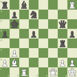 r1b4R/1p1n4/1k4q1/p2p3p/6r1/1P6/PB4PP/2R2QK1 w - - 0 1 r1b4R/1p1n4/1k4q1/p2p3p/6r1/1P6/PB4PP/2R2QK1 w - - 0 1